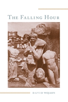 Paperback The Falling Hour Book