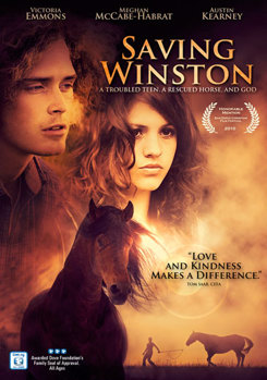 DVD Saving Winston Book