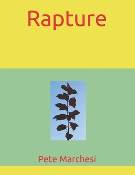Paperback Rapture: (A Melodic) Book
