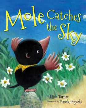 Hardcover Mole Catches the Sky Book