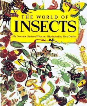 Hardcover The World of Insects Book