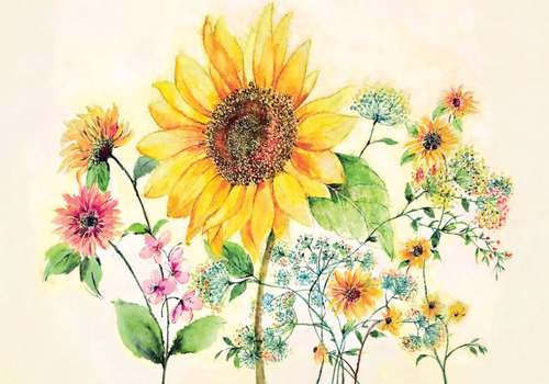 Gift Watercolor Sunflower Note Cards (14 Cards, 15 Self-Sealing Envelopes) Book