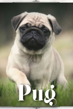 Paperback Pug: Dog breed overview and guide Book
