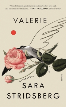 Paperback Valerie: Or, the Faculty of Dreams: A Novel Book