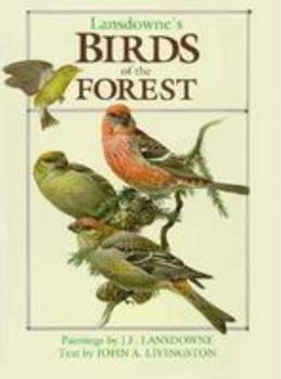 Hardcover Birds of the Forest Book