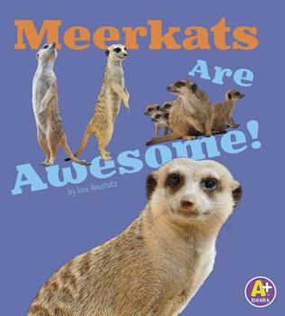 Meerkats Are Awesome! - Book  of the Awesome African Animals