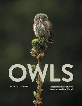 Owls: Nocturnal Birds of Prey from Around the World (Animals in Photographs)