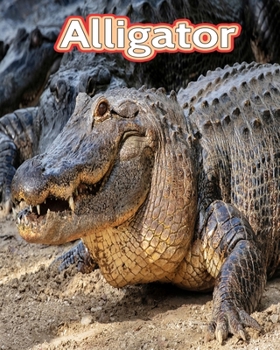 Paperback Alligator: Facts Book (Fun Facts Book For Kids) [Large Print] Book