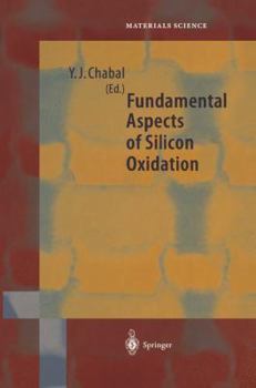 Paperback Fundamental Aspects of Silicon Oxidation Book