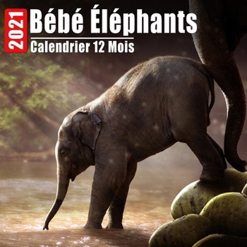 Paperback Calendrier 2021 Bébé Éléphants: Mini Photos Calendrier Bébé Éléphants Et Organisateur Mensuel Avec Citations Inspirantes Chaque Mois [French] Book