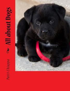 Paperback All about Dogs Book