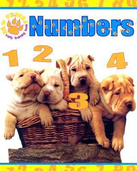 Board book Numbers Book