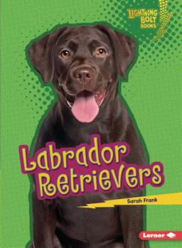 Labrador Retrievers - Book  of the Who's a Good Dog?