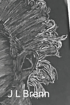 Paperback Phantom Theory Book