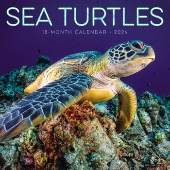 Calendar Sea Turtles 2024 12 X 12 Wall Calendar Book
