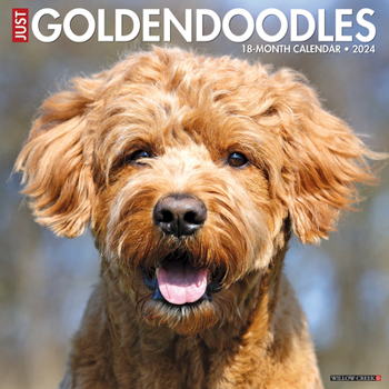 Calendar Just Goldendoodles 2024 12 X 12 Wall Calendar Book