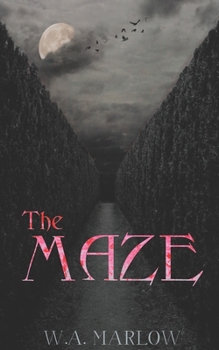 Paperback The Maze: Love Lost Book