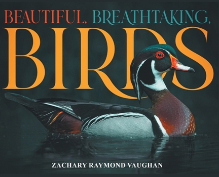 Hardcover Beautiful, Breathtaking, Birds Book