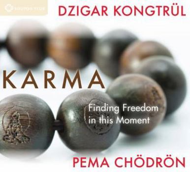 Audio CD Karma: Finding Freedom in This Moment Book