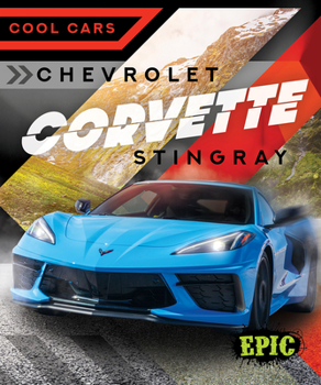 Library Binding Chevrolet Corvette Stingray Book