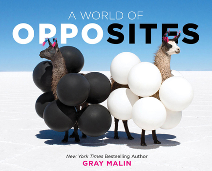 Hardcover A World of Opposites: A Picture Book