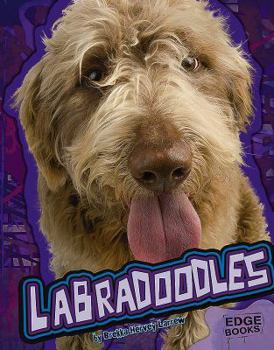 Hardcover Labradoodles Book