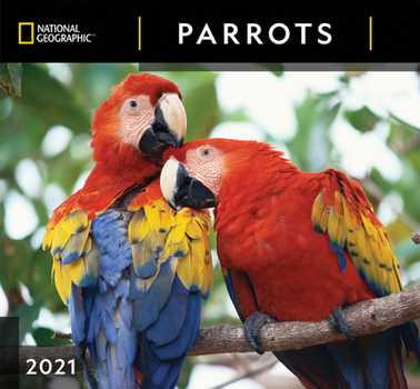 Calendar Cal 2021- National Geographic Parrots Wall Book