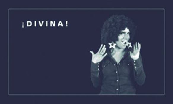 Paperback Divina: Flip Book