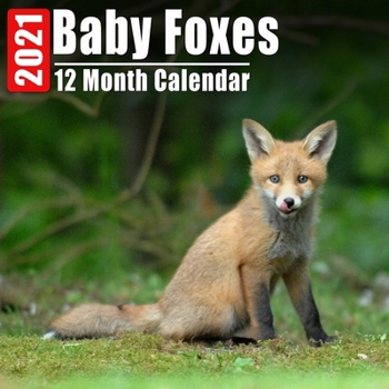 Paperback Calendrier 2021 Baby Foxes: Mini Photos Calendrier Bébé Renard Et Organisateur Mensuel Avec Citations Inspirantes Chaque Mois [French] Book