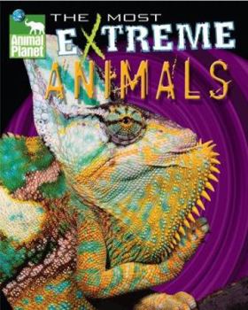 Hardcover Animal Planet the Most Extreme Animals Book