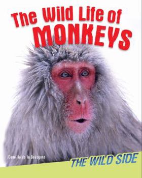 Library Binding The Wild Life of Monkeys Book