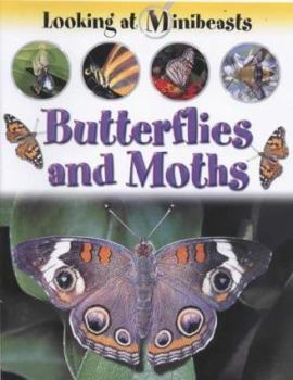 Paperback Butterflies and Moths (Looking at Minibeasts) Book