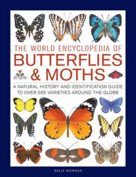 Hardcover The World Encyclopedia of Butterflies & Moths: A Natural History and Identification Guide to Over 565 Varieties Around the Globe Book