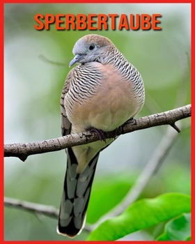 Sperbertaube: Sagenhafte Fotos & Buch mit lustigem Wissen über Sperbertaube für Kinder