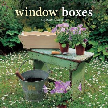 Window Boxes (Step-by-step)