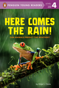 Hardcover Here Comes the Rain!: Can Animals Predict the Weather? Book