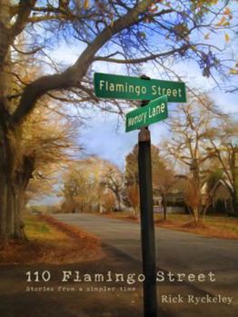 Paperback 110 Flamingo Street Book