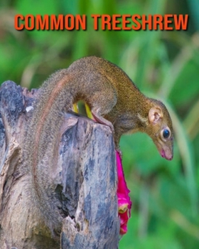 Paperback Common Treeshrew: Amazing Facts & Pictures Book