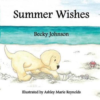 Paperback Summer Wishes Book