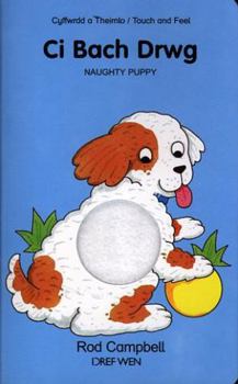 Hardcover Ci Bach Drwg Book