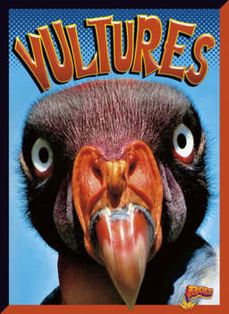 Paperback Vultures Book
