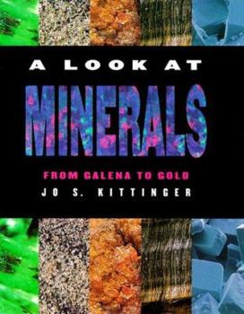 Hardcover A Look at Minerals Book