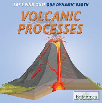 Paperback Volcanic Processes Book