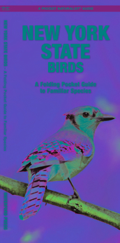 Pamphlet New York State Birds: A Folding Pocket Guide to Familiar Species Book