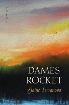 Paperback Dames Rocket Book