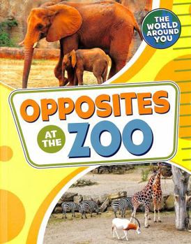 Paperback Opposites at the Zoo (The World Around You) Book