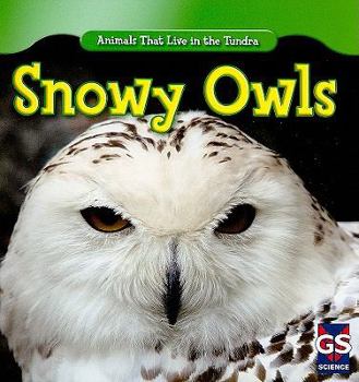 Snowy Owls - Book  of the Animals That Live in the Tundra