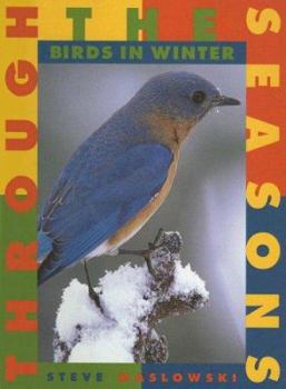 Library Binding Birds in Winter Book