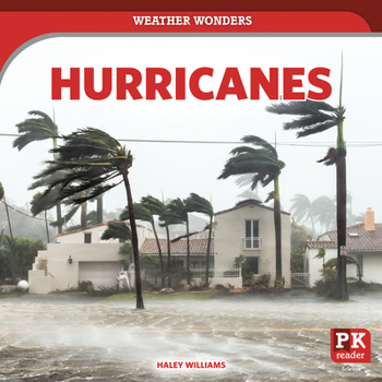 Paperback Hurricanes Book