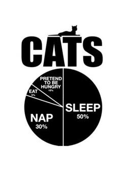 Paperback Notebook: Cats Lazy Sleeping Funny Sweet Meow Meme Gift 120 Pages, 6x9 Inches, Blank Book